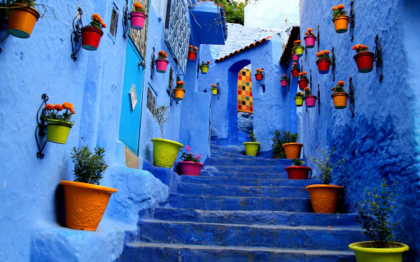 A colorful array of potted plants and flowers adorn vibrant blue walls along a stone stairway in this HD desktop wallpaper and background image.