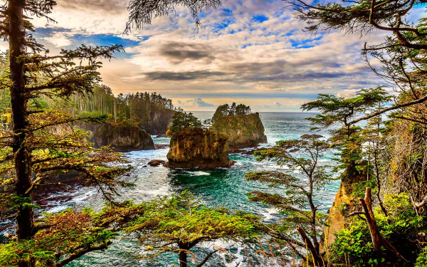  Ocean Rocks on Coast of Washington