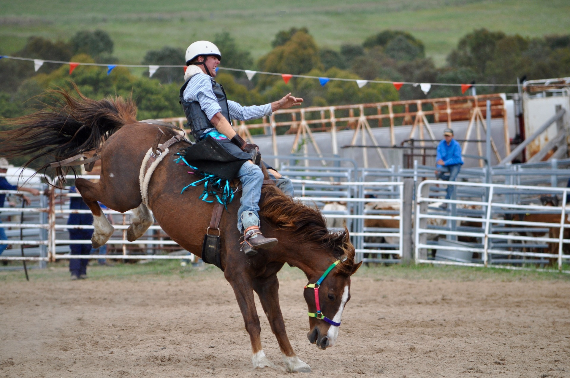Riding a bucking bronco in a rodeo by skeeze