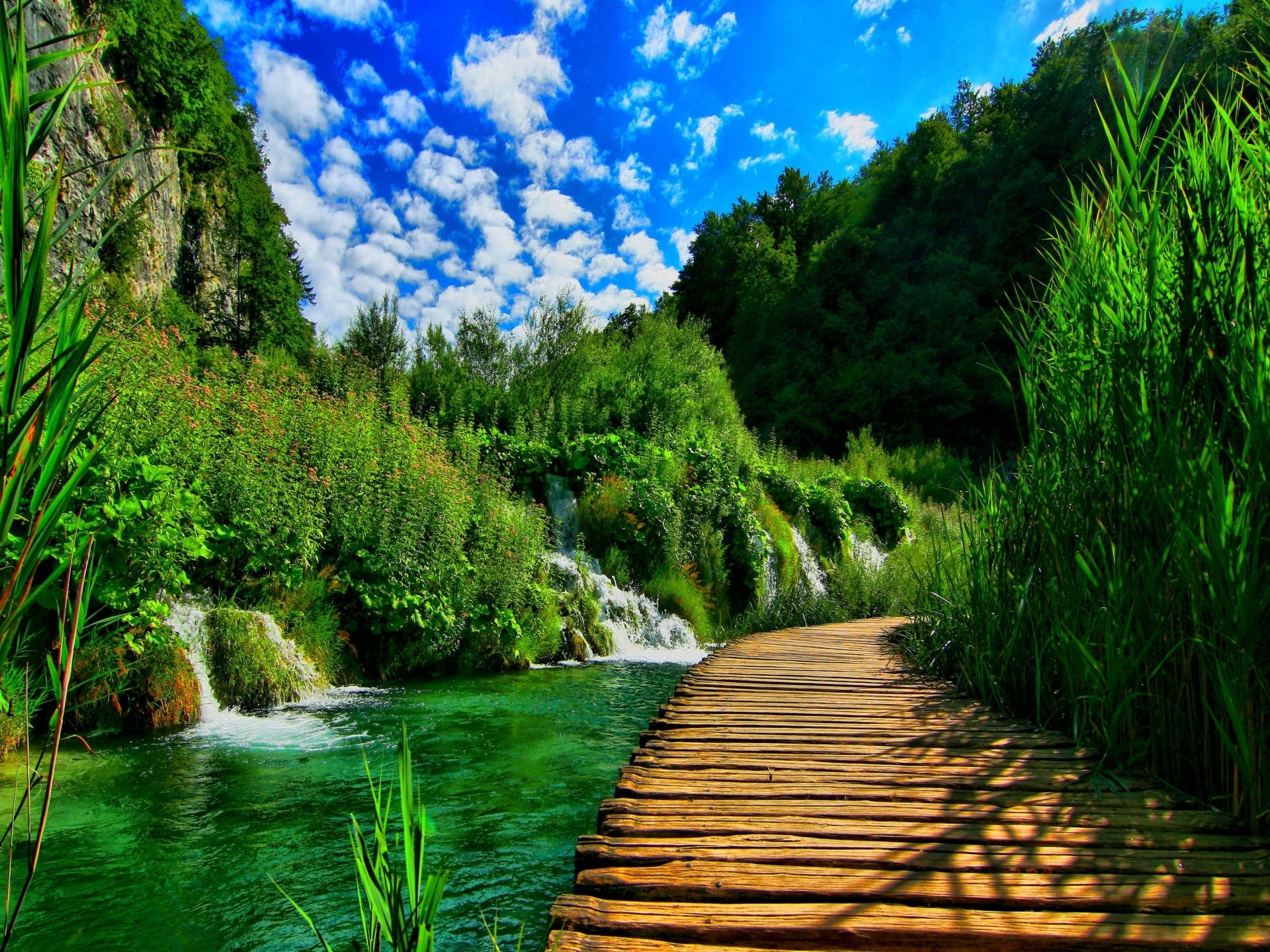 HD desktop wallpaper showcasing a vibrant green forest with a man-made wooden boardwalk beside a clear flowing stream under a bright, partly cloudy sky.
