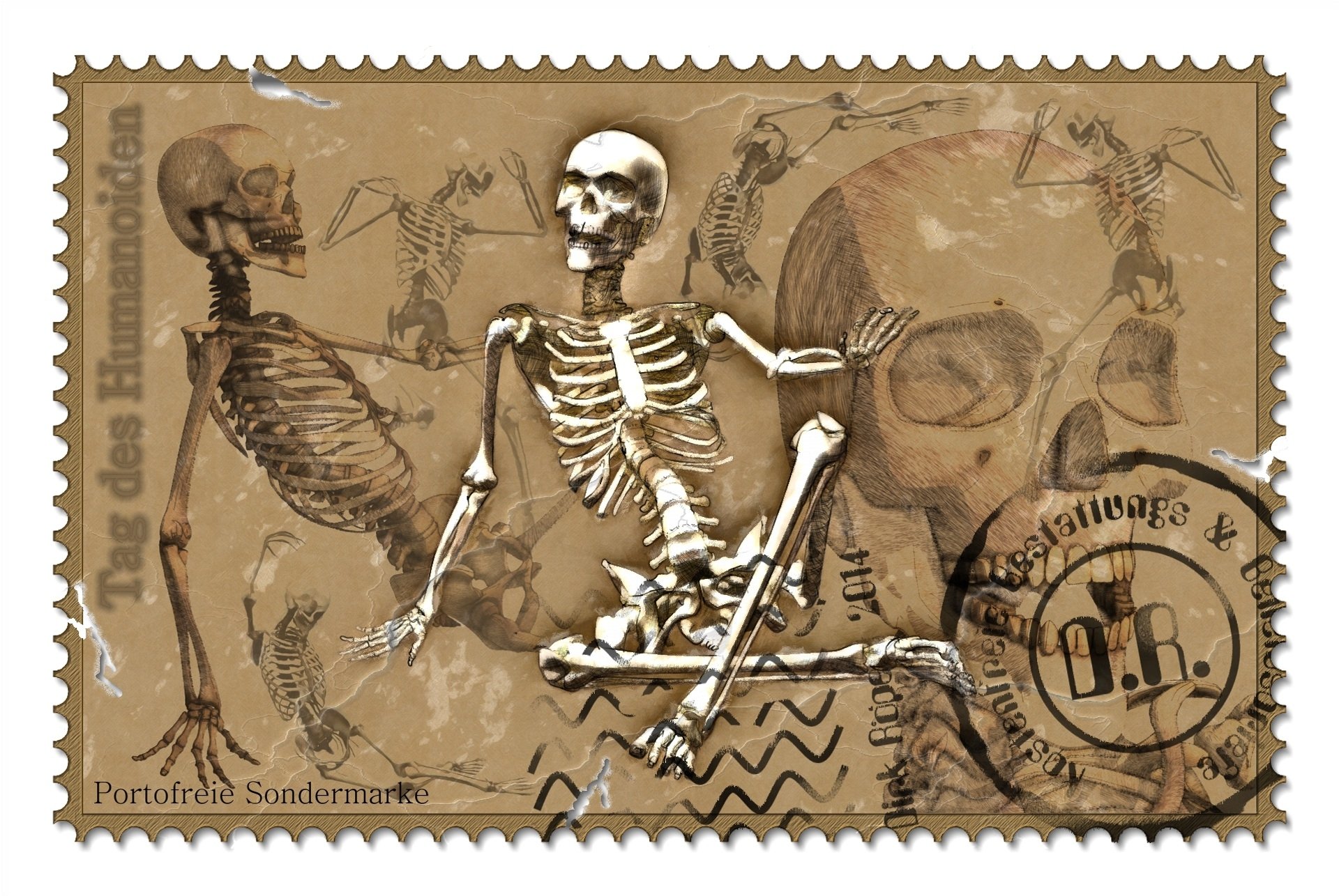 Download Dark Skeleton Skull German Man Made Stamp HD Wallpaper by Bommel2012