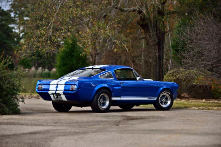 muscle car Shelby Mustang GT 350SR vehicle Shelby Mustang GT 350 HD Desktop Wallpaper | Background Image