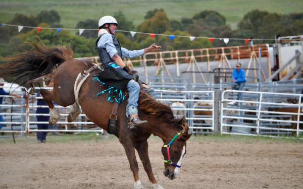  Riding a bucking bronco in a rodeo by skeeze