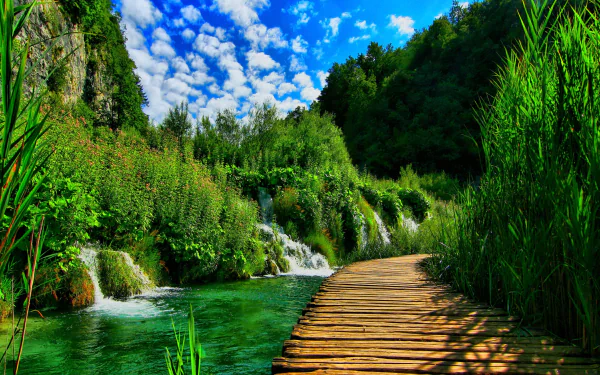 HD desktop wallpaper showcasing a vibrant green forest with a man-made wooden boardwalk beside a clear flowing stream under a bright, partly cloudy sky.