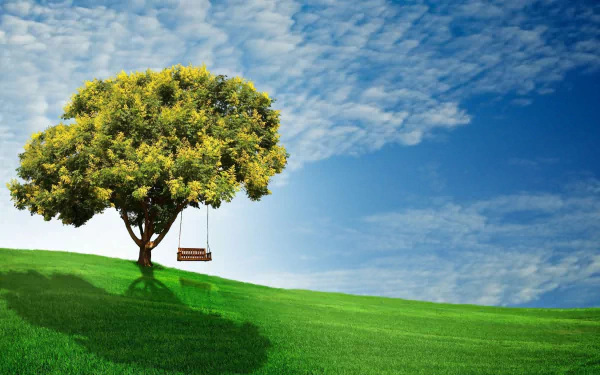 holiday Earth Day HD Desktop Wallpaper | Background Image