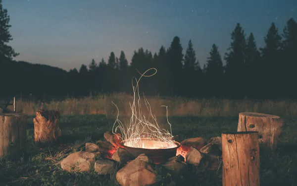 evening forest photography fire HD Desktop Wallpaper | Background Image