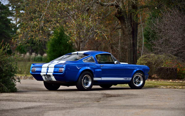 muscle car Shelby Mustang GT 350SR vehicle Shelby Mustang GT 350 HD Desktop Wallpaper | Background Image