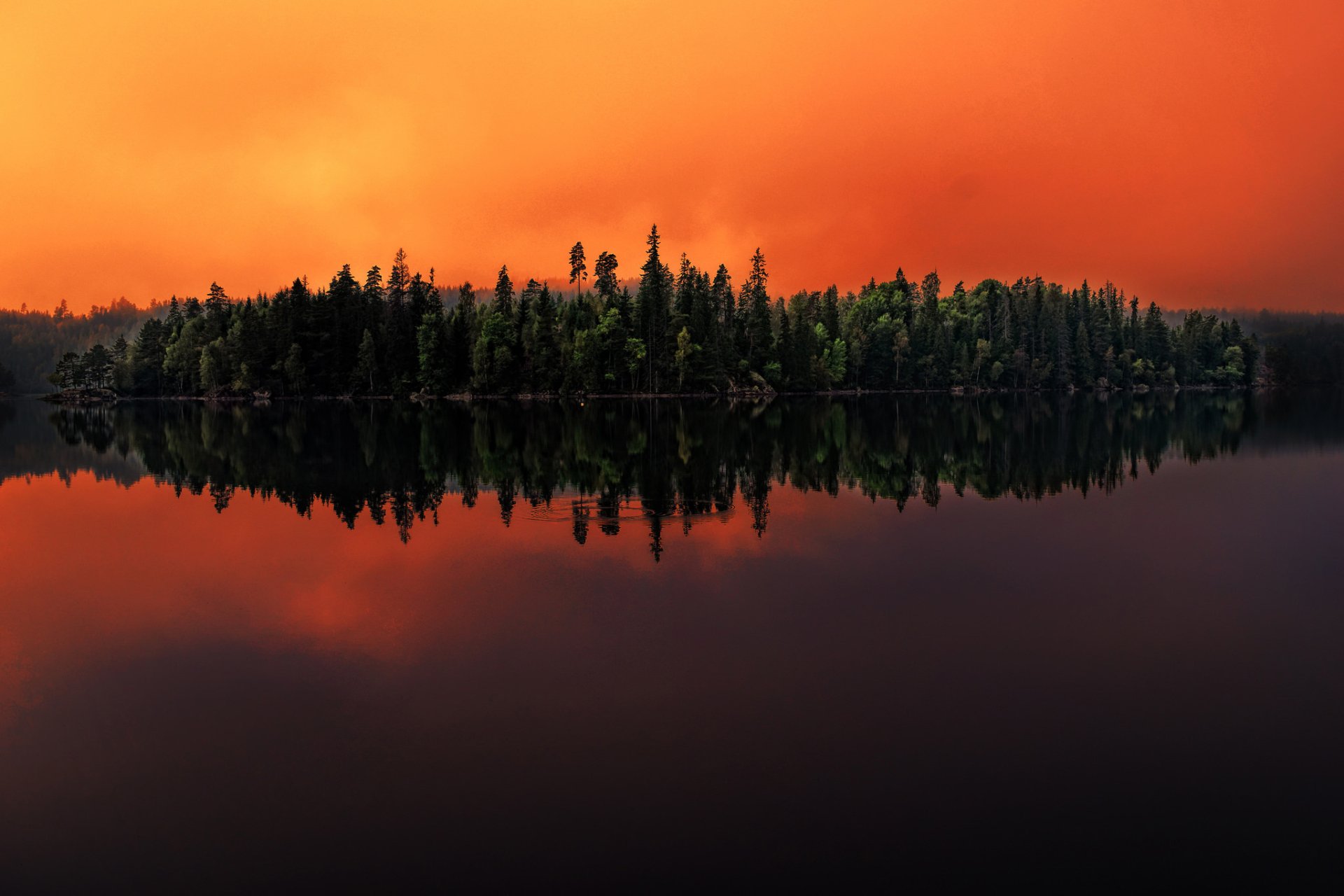 A serene Swedish forest reflected in a calm lake at dusk, under a vivid orange sky, captured in HD for a striking PC desktop wallpaper.