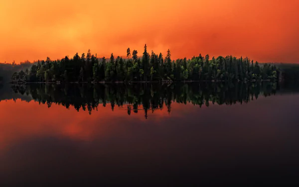 A serene Swedish forest reflected in a calm lake at dusk, under a vivid orange sky, captured in HD for a striking PC desktop wallpaper.