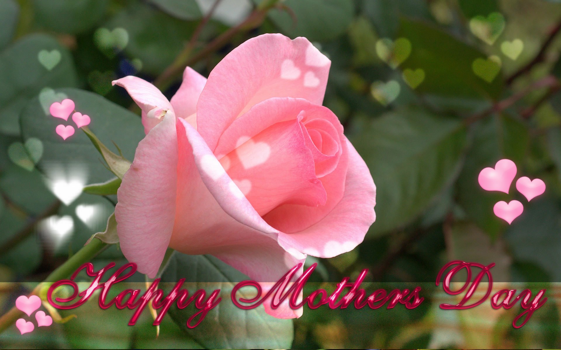 HD PC desktop wallpaper: close-up pink rose with floating hearts and green foliage, red Happy Mother's Day script across a floral holiday background.