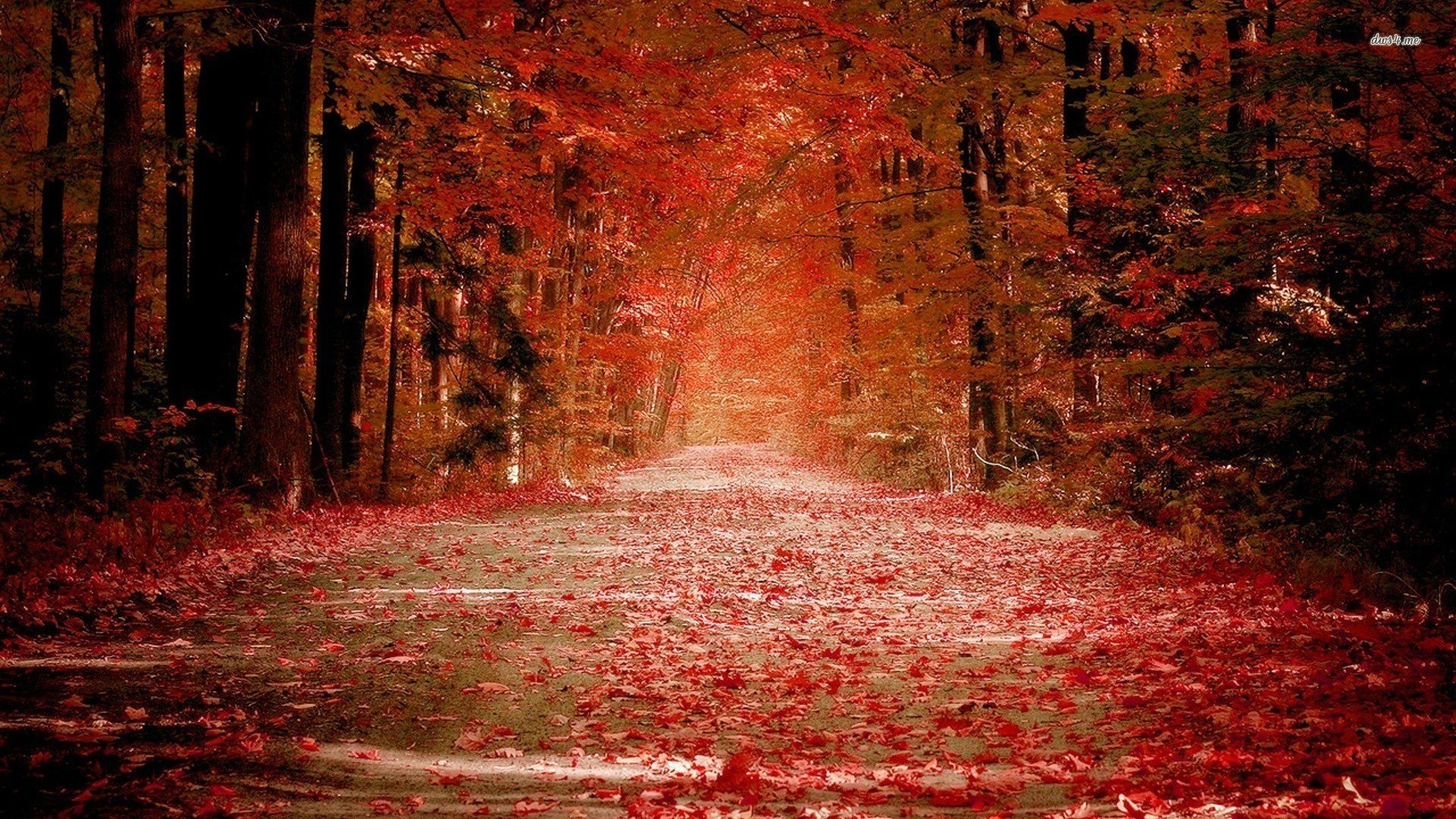 Man Made Road HD Wallpaper