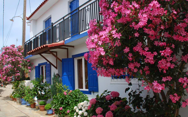  A beautiful house and garden in Greece by Macmaus