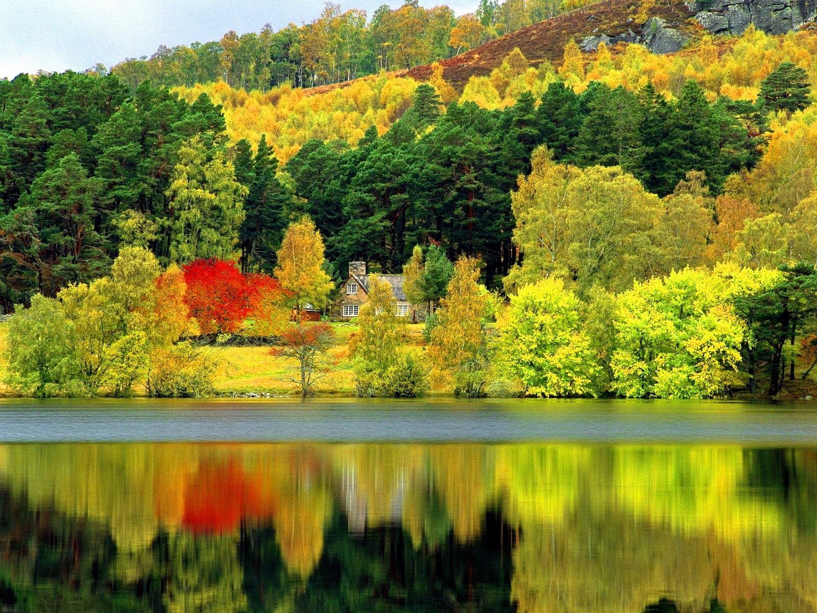 Download Reflection Fall Tree Lake Man Made House Wallpaper