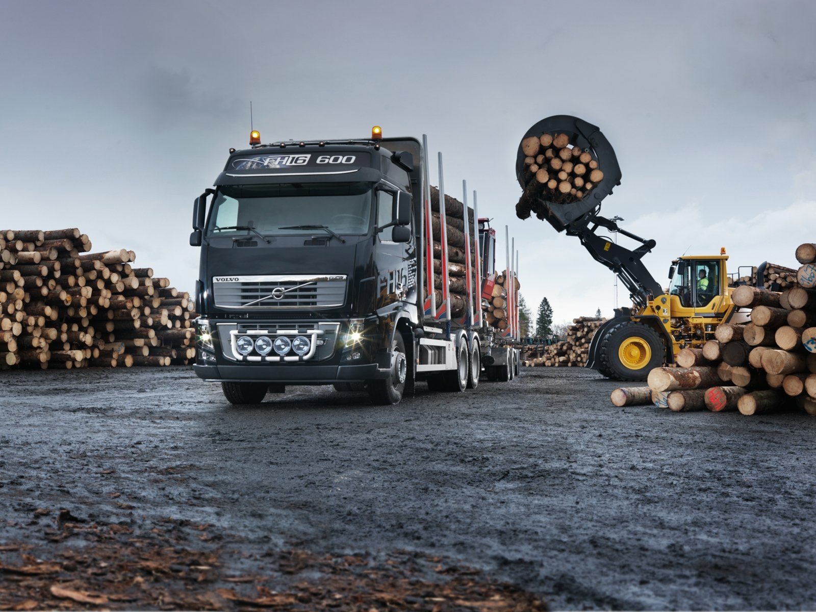 HD desktop wallpaper featuring a Volvo truck loaded with logs at a logging site, alongside heavy machinery handling timber.