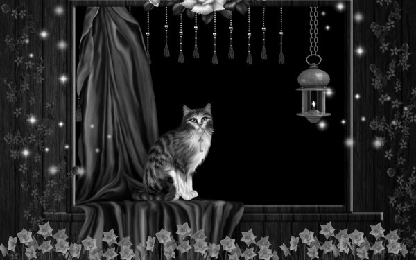 Fantasy Cat Fantasy Animals HD Wallpaper | Background Image