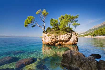 HD desktop wallpaper featuring a small rocky island with green trees surrounded by clear turquoise water under a bright blue sky, showcasing serene natural beauty.