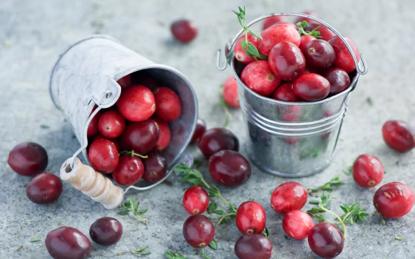 still life fruit berry food cranberry HD Desktop Wallpaper | Background Image