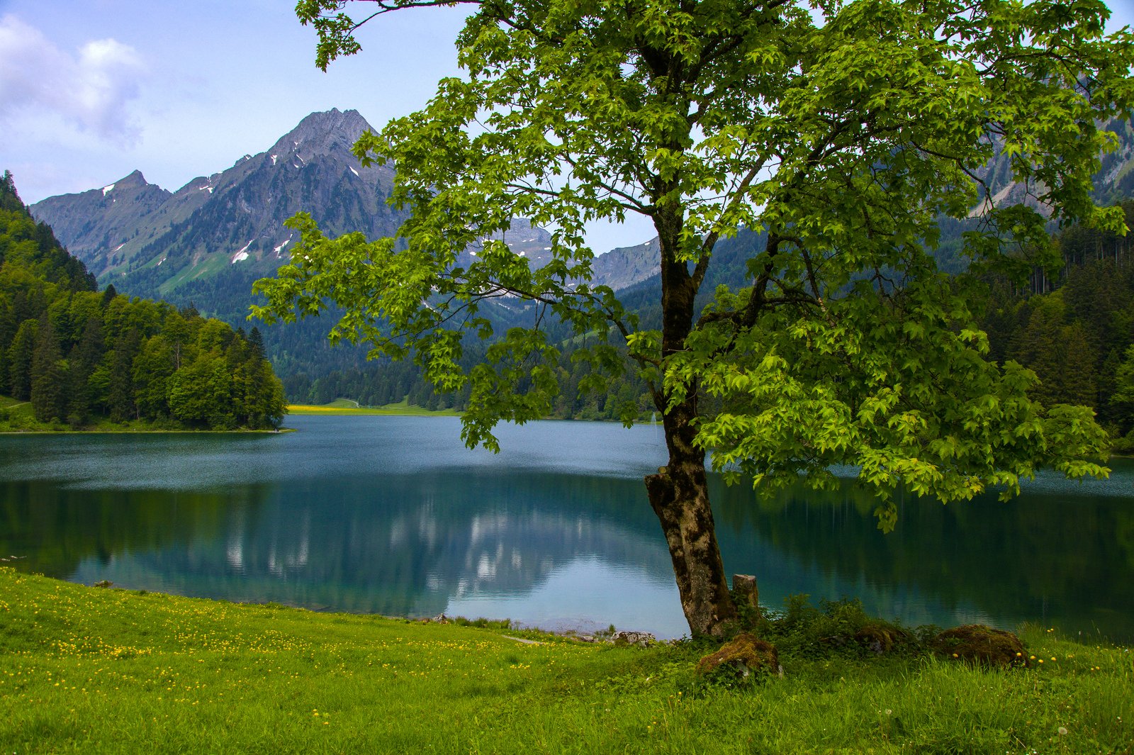 HD PC desktop wallpaper featuring a serene lake surrounded by lush green trees and distant mountains under a partly cloudy sky.