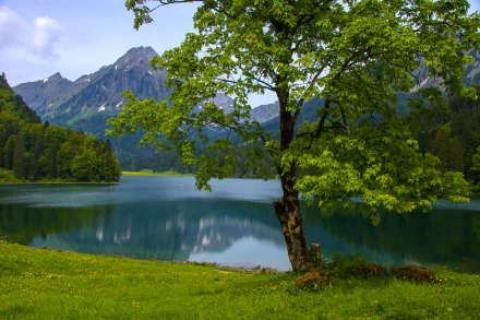 HD PC desktop wallpaper featuring a serene lake surrounded by lush green trees and distant mountains under a partly cloudy sky.