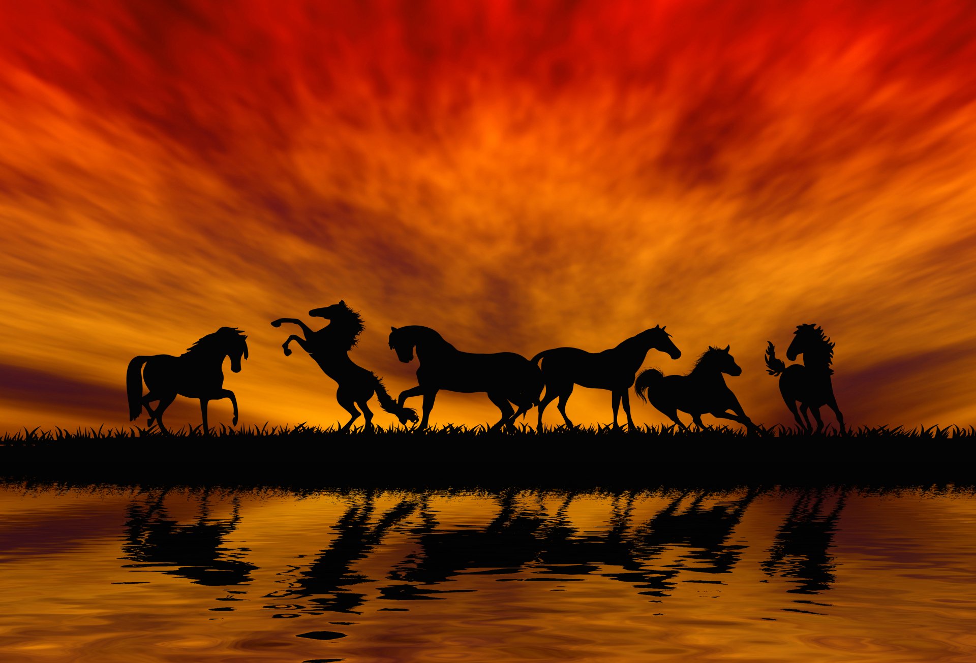 Download Silhouette Orange (Color) Reflection Sunset Animal Horse 4k ...