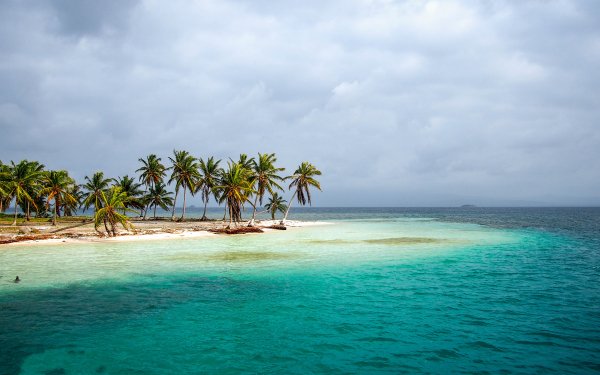 Earth Island Palm Tree Tropical Ocean Sea Panama Horizon HD Wallpaper | Background Image