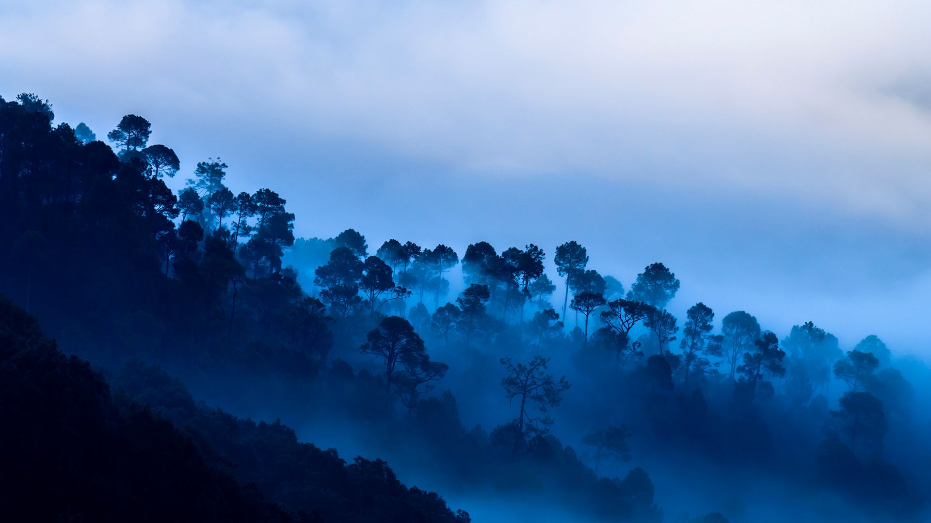HD desktop wallpaper featuring a misty blue forest landscape enveloped in fog, capturing the serene beauty of nature.
