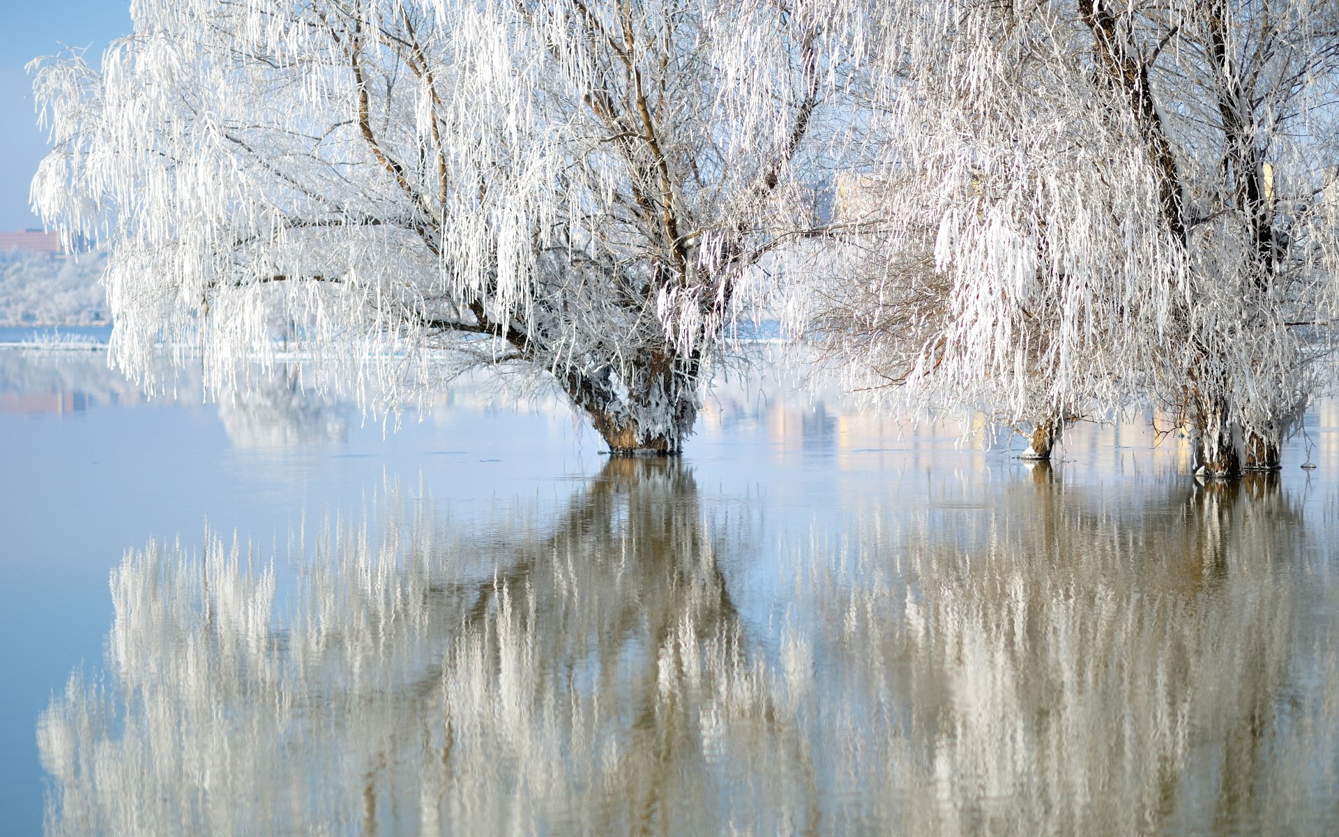 Download Reflection Lake Nature Winter 4k Ultra HD Wallpaper