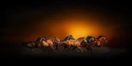 A group of horses gallops through a misty landscape, illuminated by a vibrant sunset, creating a stunning HD desktop wallpaper and background.