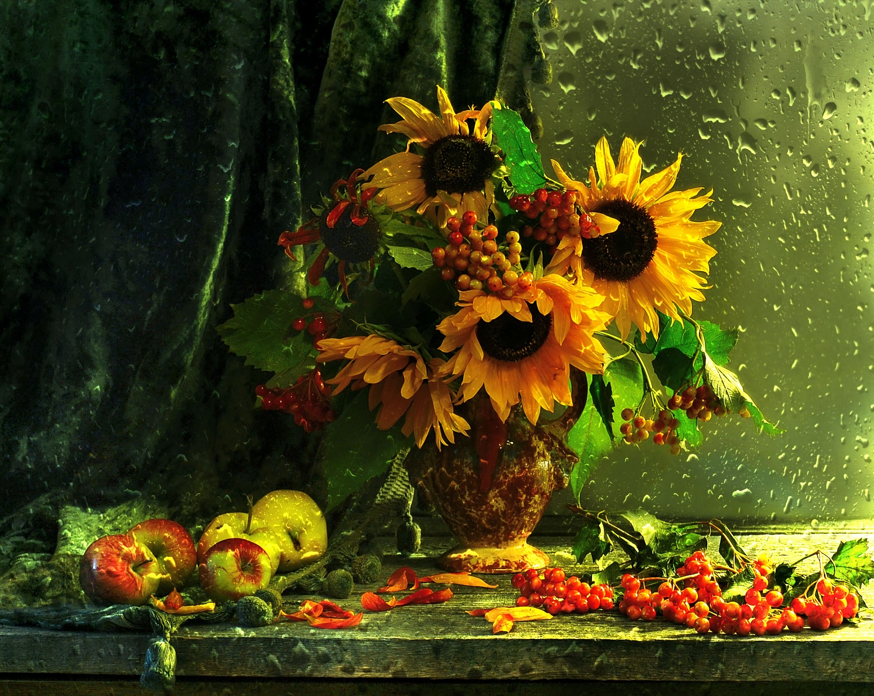 Download Yellow Flower Berry Apple Rain Sunflower Photography Still ...