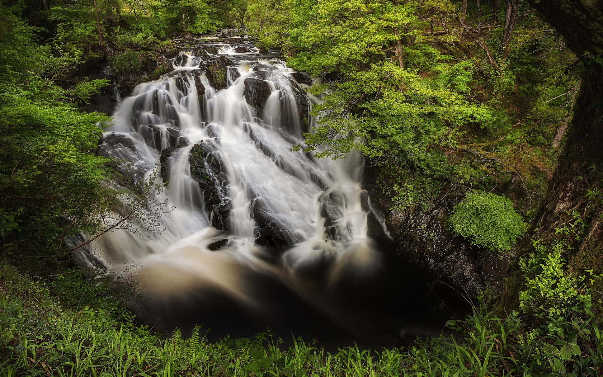 HD desktop wallpaper showcasing a lush green forest with a cascading waterfall and foamy stream flowing through the vibrant natural landscape.