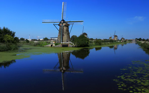 A traditional Dutch windmill beside a calm river in the Netherlands, with a clear blue sky and the mill's reflection visible in the water.