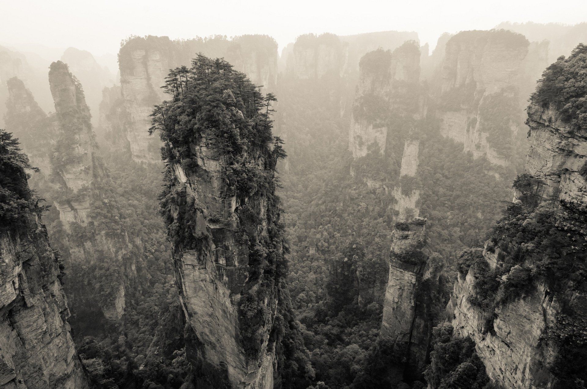 Sepia-toned black and white landscape of towering cliffs and lush vegetation in China, captured in high definition as a dramatic nature desktop wallpaper.