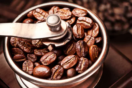 Close-up of roasted coffee beans inside a metal grinder, captured in sharp detail for a 4K Ultra HD PC desktop wallpaper and background.