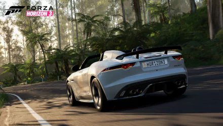  Jaguar F-Type Project 7