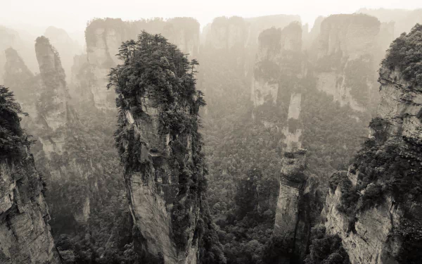 Sepia-toned black and white landscape of towering cliffs and lush vegetation in China, captured in high definition as a dramatic nature desktop wallpaper.