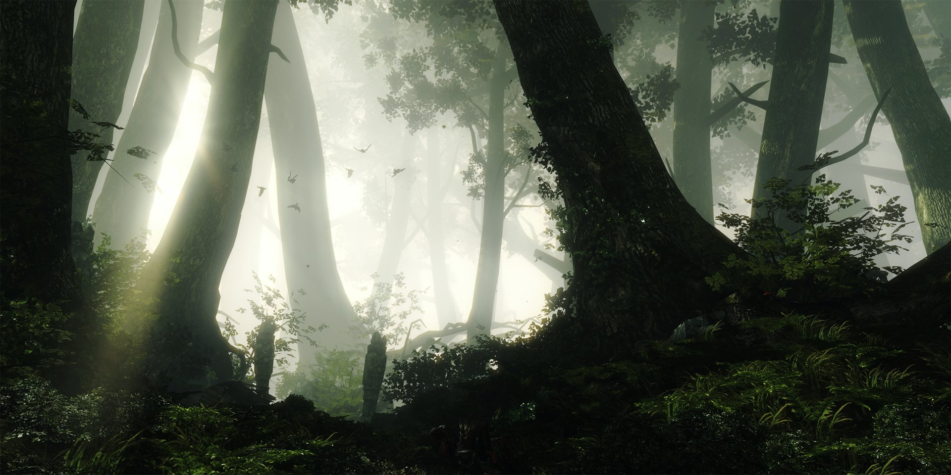 HD PC desktop wallpaper featuring a misty forest scene from the video game The Witcher 2: Assassins of Kings, with tall trees and diffused sunlight.