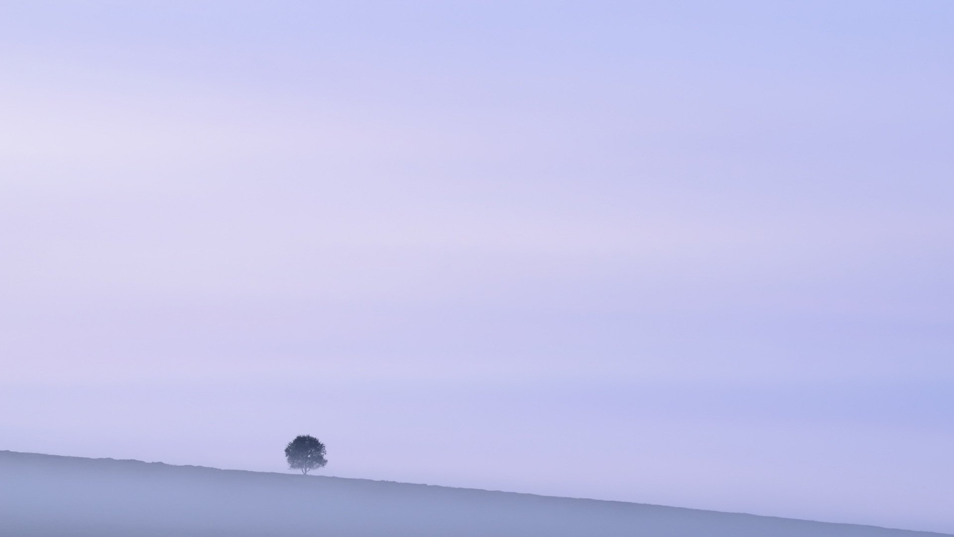 Minimalist HD PC desktop wallpaper showing a lonely tree on a misty horizon beneath a soft pastel sky, a quiet nature scene.