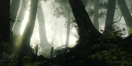 HD PC desktop wallpaper featuring a misty forest scene from the video game The Witcher 2: Assassins of Kings, with tall trees and diffused sunlight.