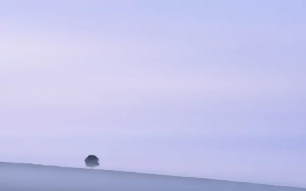 Minimalist HD PC desktop wallpaper showing a lonely tree on a misty horizon beneath a soft pastel sky, a quiet nature scene.