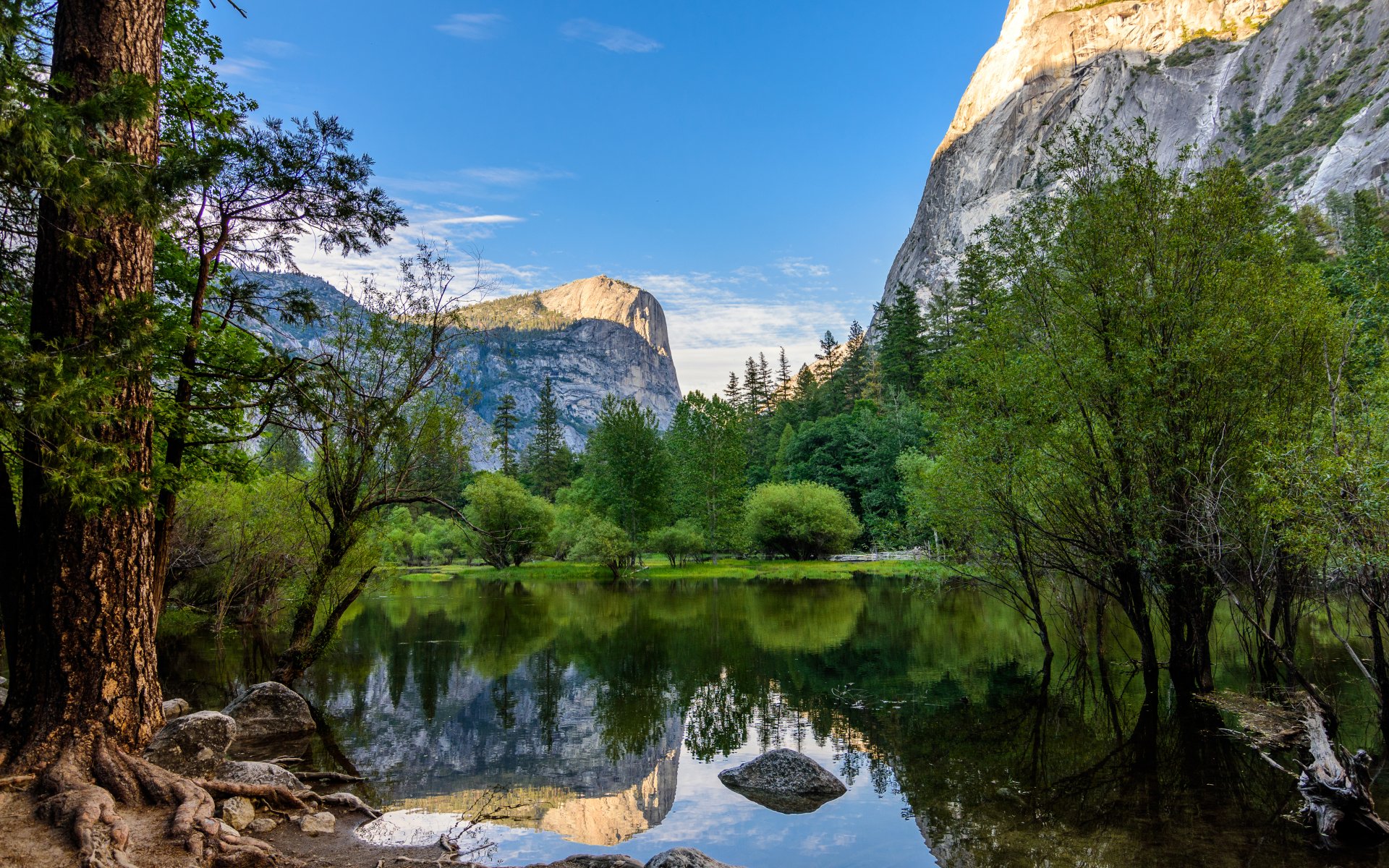 Download Cliff Reflection Tree Mountain Lake California Nature Yosemite