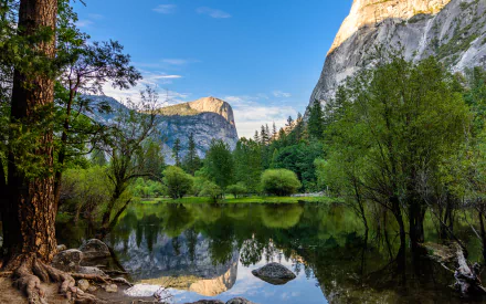 A serene view of Yosemite National Park in California showcasing cliffs, trees, and mountains reflected clearly in a calm lake, captured in stunning 4K Ultra HD quality.