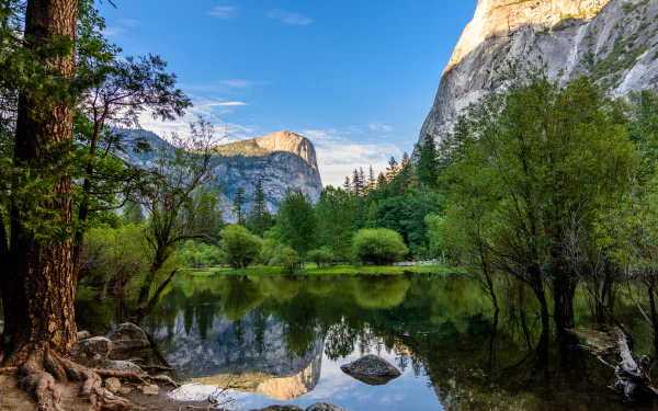cliff reflection tree mountain lake California nature Yosemite National Park HD Desktop Wallpaper | Background Image