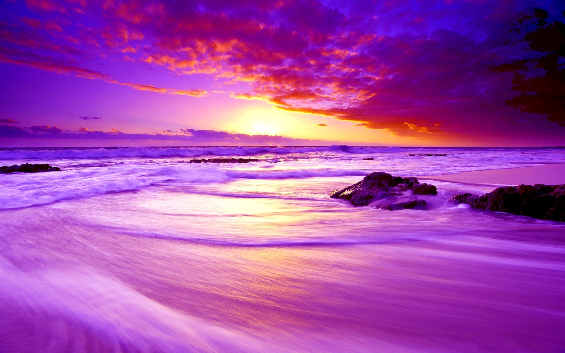 Purple Beach Sunset HD Wallpaper | Background Image ...