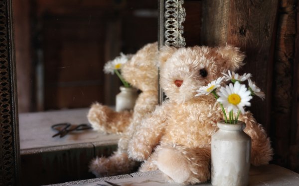 Hecho por el hombre Peluche White Flower Teddy Bear Mirror Reflejo Fondo de pantalla HD | Fondo de Escritorio