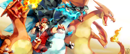 A vibrant HD wallpaper featuring Charizard, Mega Charizard Y, and Mega Charizard X alongside Red from Pokémon, capturing the excitement of the Pokémon video game series.