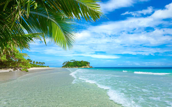 A serene tropical beach scene featuring turquoise sea and gentle waves, framed by lush palm trees under a bright blue sky, creating a vibrant nature backdrop.