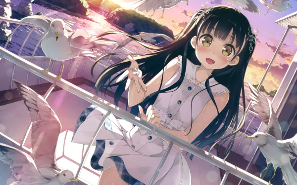 A vibrant HD desktop wallpaper featuring an anime character from 5 Nenme no Houkago, surrounded by seagulls against a colorful sunset backdrop.