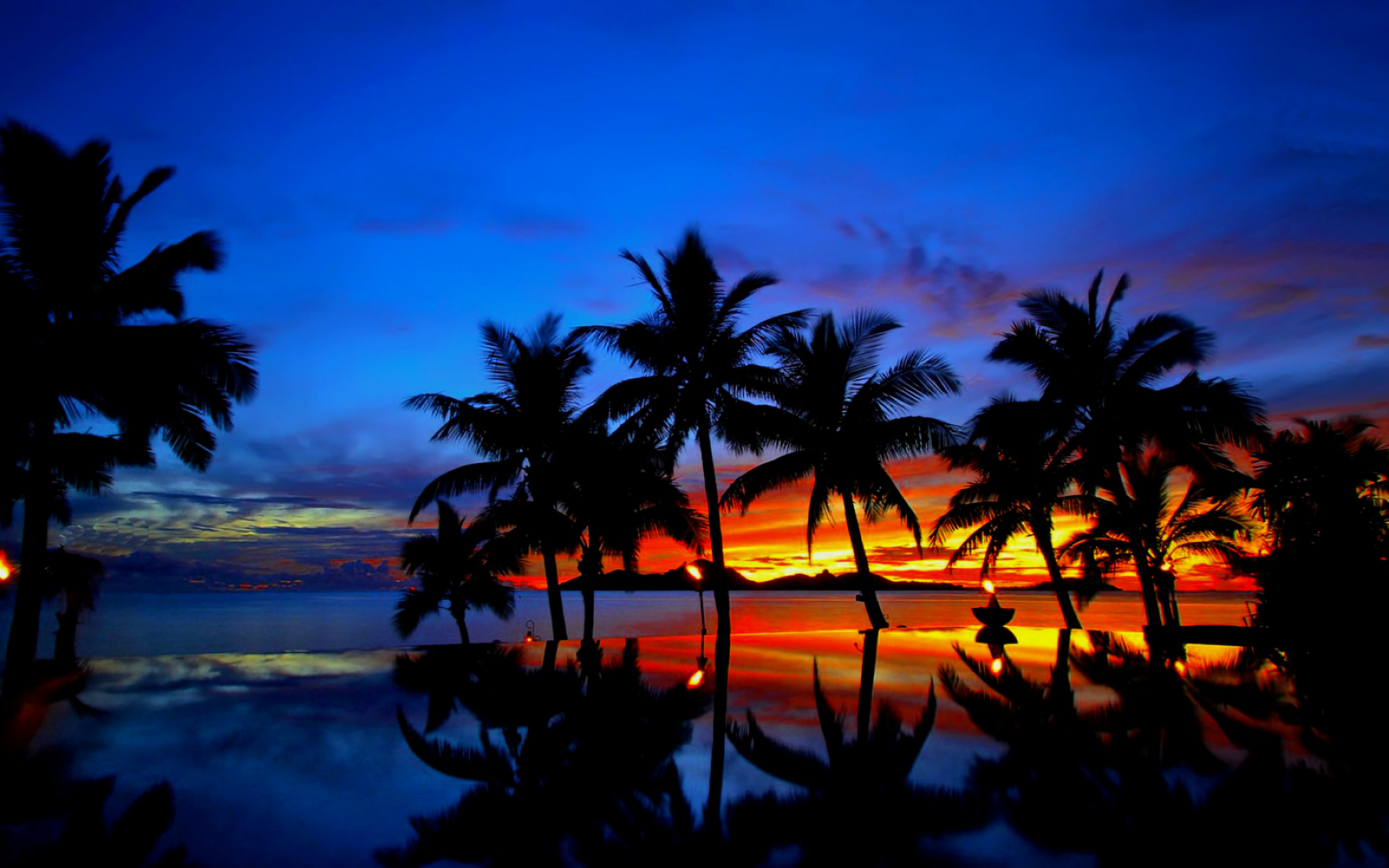 Download Silhouette Sea Ocean Palm Tree Tropical Sky Nature Sunset HD Wallpaper