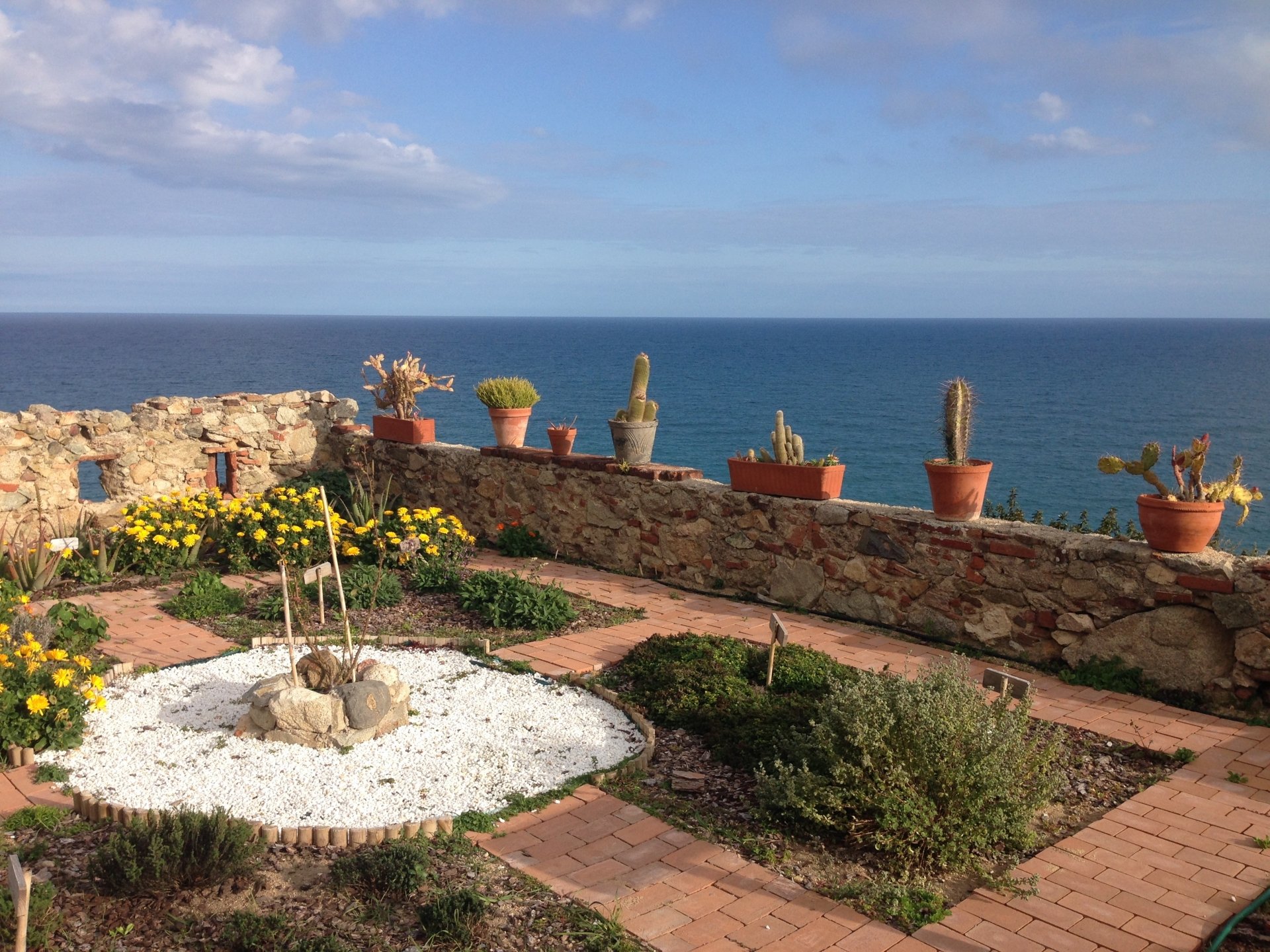 A serene garden scene features a stone wall adorned with potted herbs and cacti, overlooking a tranquil ocean, with vibrant yellow flowers enhancing the landscape.