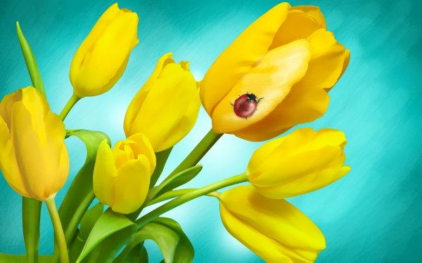 Earth Tulip Flowers Ladybug Yellow Flower Nature HD Wallpaper | Background Image